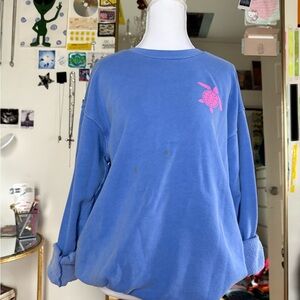Blue Sweatshirt with Pink Turtle
